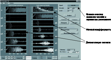     wavelet-