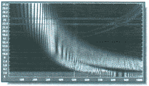   wavelet-,        wavelet 