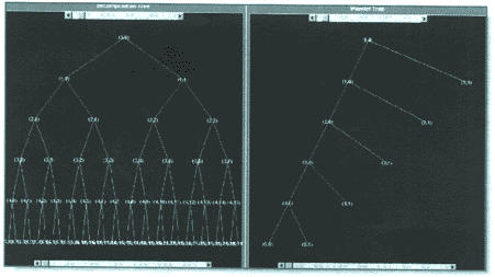     ()   wavelet- ()