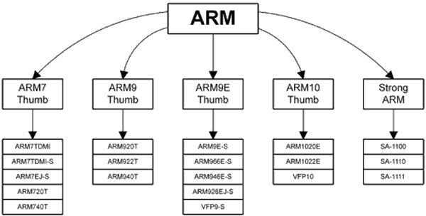 Процессорные ядра фирмы ARM