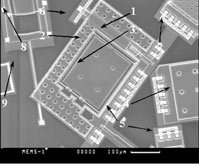 РЭМ-снимок микрозеркала в плоскости подложки